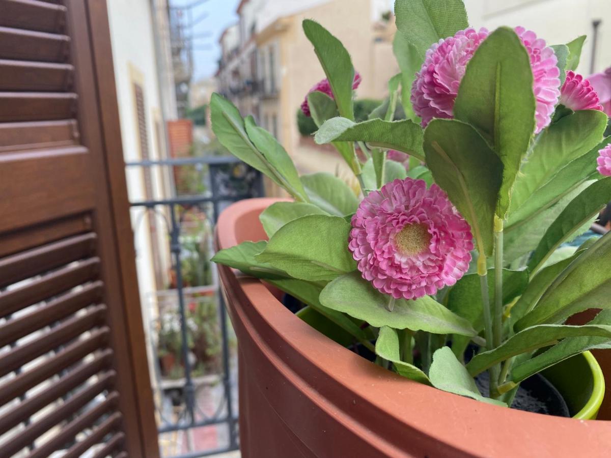 Casa Vetriera Apartment Palermo Bagian luar foto